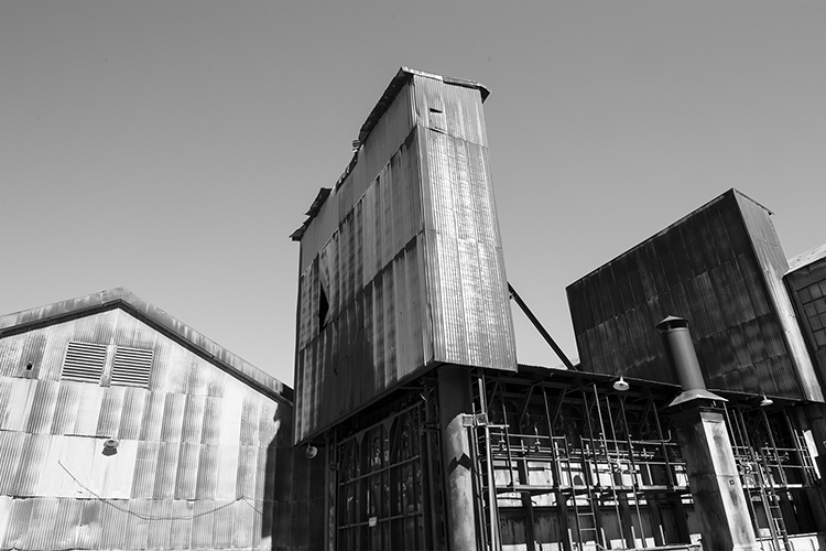 Building at Pier 70, San Francisco.  R. Blum and Associates Commercial Real Estate Appraisal. Photo 2014.